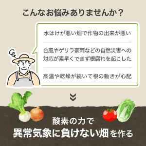 100袋 オキソパワー5 酸素供給剤 10kg...の詳細画像3