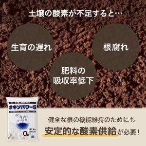 100袋 オキソパワー5 酸素供給剤 10kg...の詳細画像4