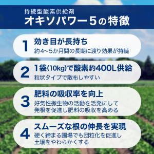 100袋 オキソパワー5 酸素供給剤 10kg...の詳細画像5