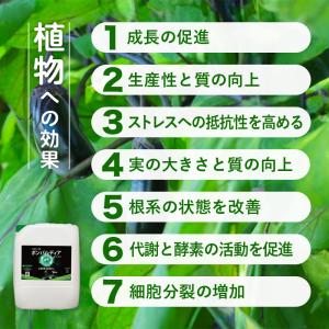 ボンバルディア 20L BOMBARDIER ...の詳細画像4