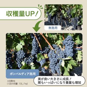 ボンバルディア 20L BOMBARDIER ...の詳細画像5
