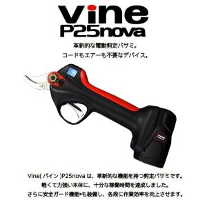 VINE バイン 用バッテリー コードレス小型...の詳細画像1