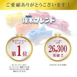 200個 接木フレンド オレンジ 橙色 接木用...の詳細画像2