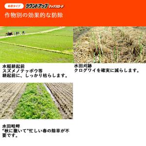 除草剤 ラウンドアップ マックスロード 200...の詳細画像5