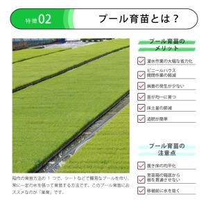 60本 プール育苗 用 枠板 楽育 ライク 長...の詳細画像2