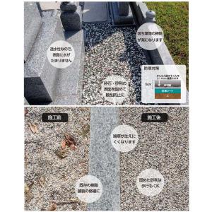 かんたん固まるくん 300g缶 材料のみ 庭の...の詳細画像4