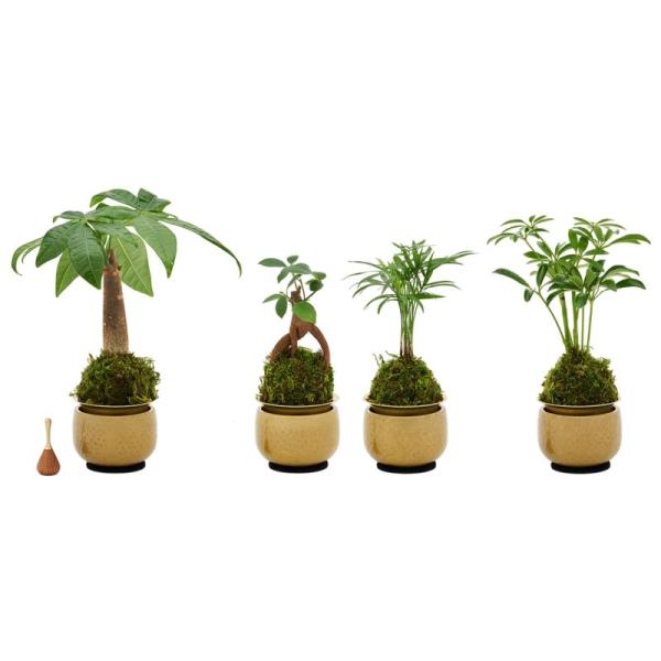 苔玉りん 大 ちびりん棒付 直径95×高さ80mm 仏具 後飾り 葬祭 用品 仏前 日本製 葬祭 慰...