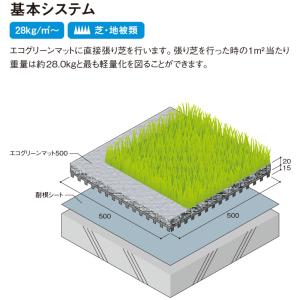 屋上緑化 エコグリーンマット500 24枚入 ...の詳細画像2