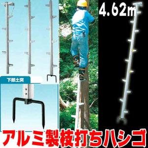 アルミ製 枝打ち梯子 FK-4 (2段継/最大重量100kg/長さ4m) [はしご