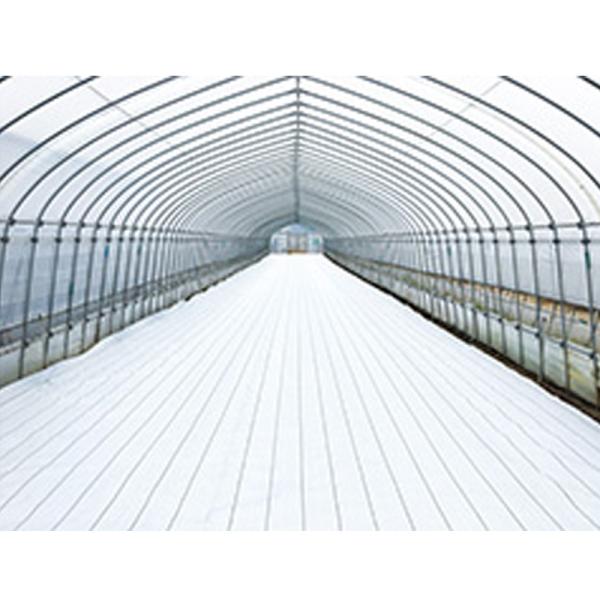 防草シート ホワイト グランドシート アルファ オフホワイト 2x100m 遮光率99％ 白 反射 ...