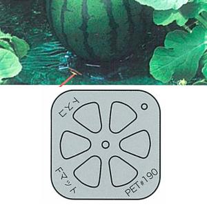 野菜用敷台 トスコFマット スイカ大玉用 1600枚入