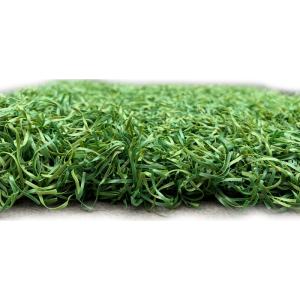人工芝 無方向パイル スポーツ人工芝 2x10 ...の商品画像