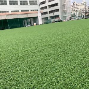 人工芝 無方向パイル スポーツ人工芝 2x10...の詳細画像4