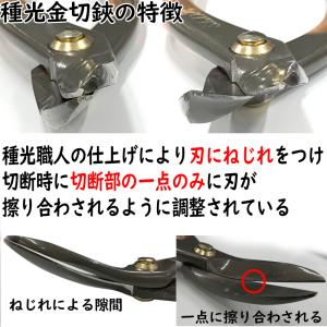 種光 金切鋏 スーパーハイス21 エグリ 21...の詳細画像1