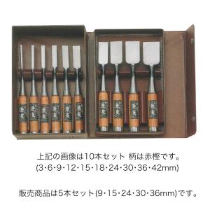 木彫鑿 5本組 のみ勝 赤樫柄 木箱入 のみ ノミ 木彫り 彫刻 木工 木彫鑿 5本組 のみ勝 赤樫柄 木箱入 のみ ノミ 木彫り 彫刻 木工
