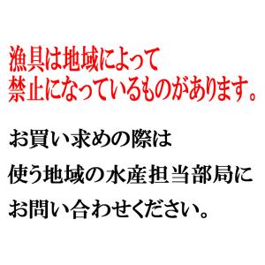 玉網 養魚用 ステンレス 二重枠 三角玉網 網...の詳細画像2