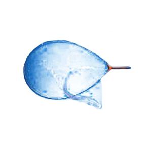 DAIWA（釣り） エギングロッド ダイワ ソルティスト スクイッド