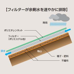 SN浸食防止シート 1×50m 種子付き 6本...の詳細画像1