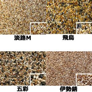 ナチュラルコート 樹脂 + 砂利セット 13種...の詳細画像1