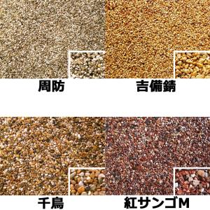 ナチュラルコート 樹脂 + 砂利セット 13種...の詳細画像2