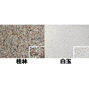 ナチュラルコート 樹脂 + 砂利セット 13種...の詳細画像4