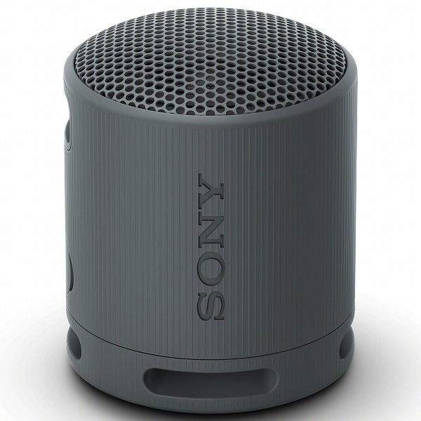 SONY(VAIO) SRS-XB100/B ワイヤレスポータブルスピーカー XB100 ブラック
