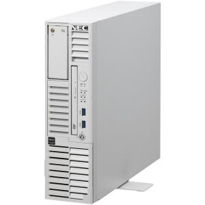 NEC NP8100-2993YP5Y Express5800/ D/ T110m-S Xeon E-2414 4C/ 16GB/ SAS 600GB*2 RAID1/ W2022/ タワー 3年保証｜plusyu