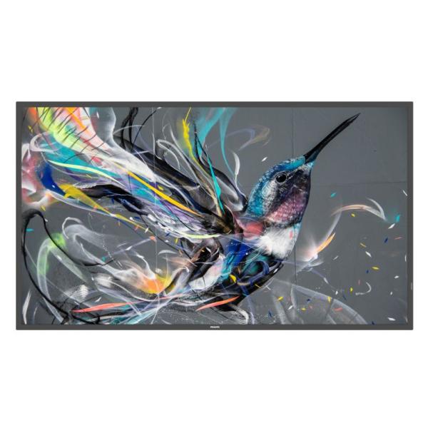 PHILIPS 50BDL3511Q/11 液晶ディスプレイ（サイネージ） 50型/ 3840×21...