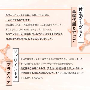 スリリンファイア 1袋 温活 脂肪燃焼 サプリ...の詳細画像5