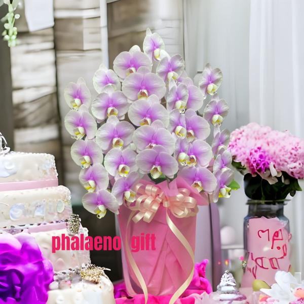 ミニ胡蝶蘭 3本立て ピンク 開店祝い 移転祝い 就任祝い お誕生日 プレゼント 木札 ミニサイズ ...