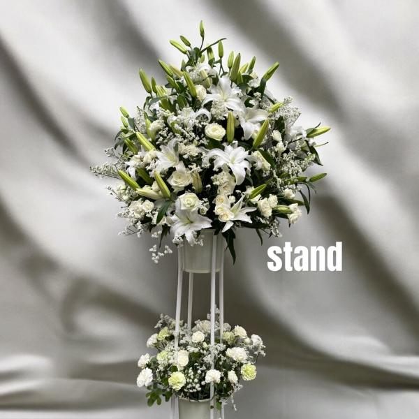 スタンド花 東京ドーム 日本武道館 ボリューム大 コンサート 祝花 ライブ 胡蝶蘭 楽屋花 1段 2...