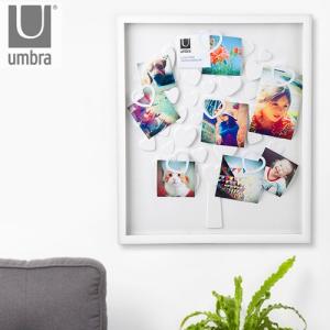 Umbra（アンブラ） ハンギット フォトディスプレイ マットブラス