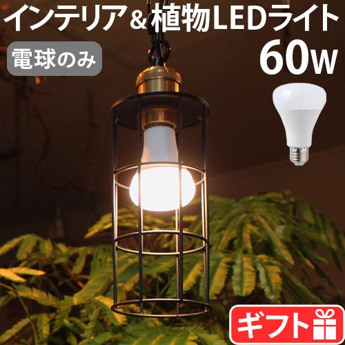 【選べる特典付】植物用ライト 電球 e26 led プランツ ライト BRID PLANTS LIG...