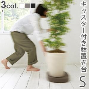 植木鉢トレー ティディ プランタブル スモール tidy Plantable S｜plywood