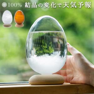 テンポパルス Tempo Pulse ストームグラス