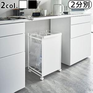 ゴミ箱 タワー 目隠し分別ダストワゴン 2分別