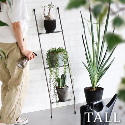 【選べる特典付】 ラダーラック 立て掛け ガーデンラック ウエストビレッジトーキョー ノップ ラダー...