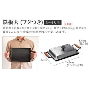 大人の鉄板 鉄板大 角蓋付き OTS8111の詳細画像1