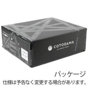 COTODAMA Lyric Speaker ...の詳細画像2