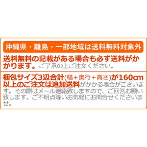 サイベックス レモ アダプターセット スウェー...の詳細画像4