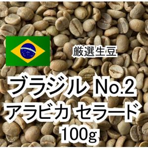 【お試し特価】コーヒー生豆 ブラジル アラビカ セラード ナチュラル 100g｜pmart