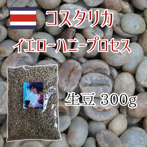 コーヒー生豆 コスタリカ ハニープロセス 最高グレード 300g