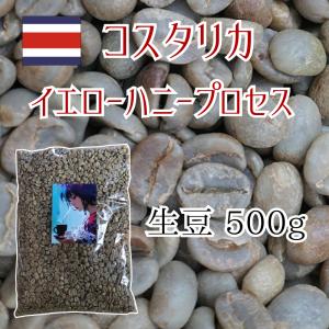 コーヒー生豆 コスタリカ ハニープロセス 最高グレード 500g｜pmart