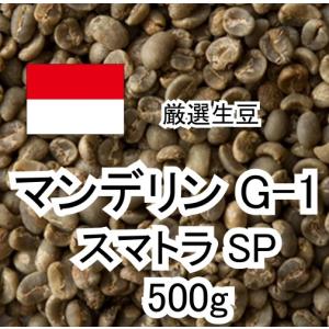 コーヒー生豆 マンデリン G1 スマトラ インドネシア 500g｜pmart