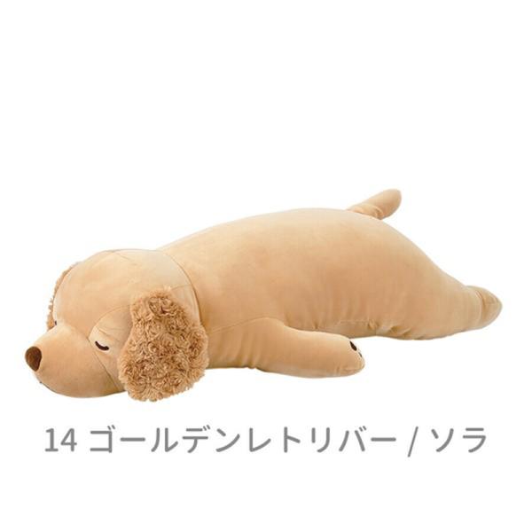 りぶはあと プレミアムねむねむアニマルズ 抱きまくら Lサイズ ゴールデンレトリバー（ソラ）