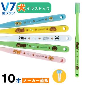 V7歯ブラシ(犬イラスト付き 10本組） ふつう レギュラー コンパクト 長持ちキャップ つまようじ法 pmj ブイセブン｜pmj