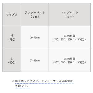 授乳ブラ ショーツ 上下セット ノンワイヤー ...の詳細画像1