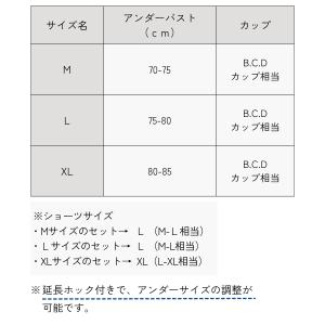 授乳ブラ ショーツセット マタニティブラ かわ...の詳細画像2