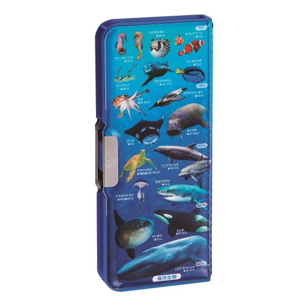 クツワ 筆箱 ペンケース ピッタントン 両面 学べる2ドア 筆入 海洋生物 SF022 新入学文具 ...