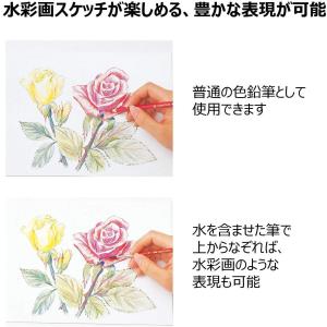 色鉛筆送料無料 一部地域除くファーバーカステル...の詳細画像2